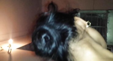 ఫా తెలుగు సెక్స్ వీడియో కావాలి