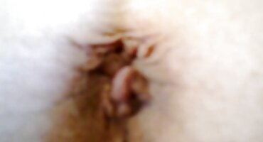 కాక్ చెర్ సెక్స్ వీడియో telugu కె కిస్ డబుల్ ప్రవేశించడం.