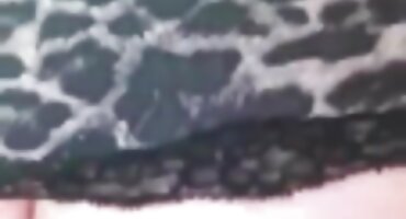 బాస్ సెక్స్ వీడియో తెలుగు తెలుగు గాడిద లో సెక్రటరీ ఫకింగ్.