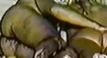 ఒక యువకుడికి బామ్మ నిరుత్సాహంగా నోటితో మొడ్ఢ చీకడం ఇస్తుంది. తెలుగు సెక్స్ సెక్స్ వీడియో