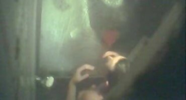 ఇది యువతరాన్ని అవమానిస్తుంది. తెలుగు హీరోయిన్ సెక్స్ వీడియో